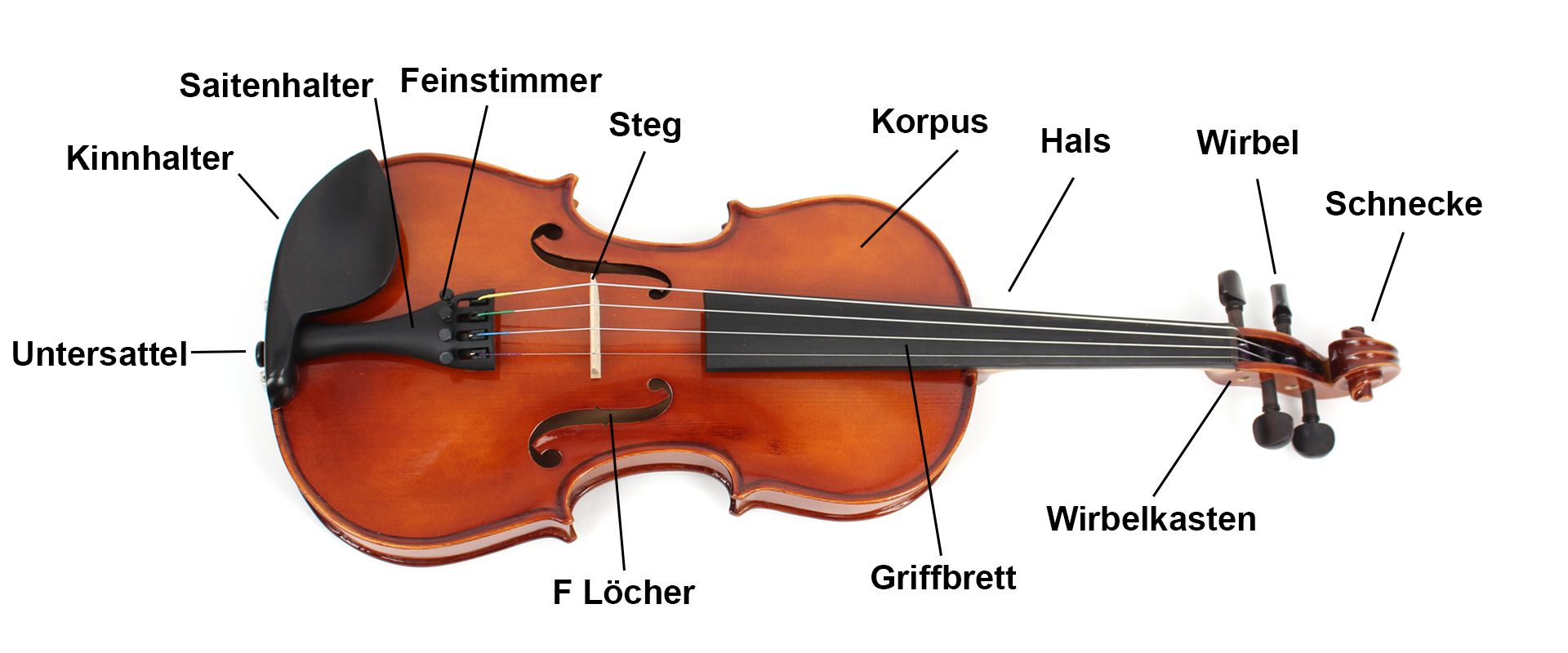 Understanding String Instruments Parts